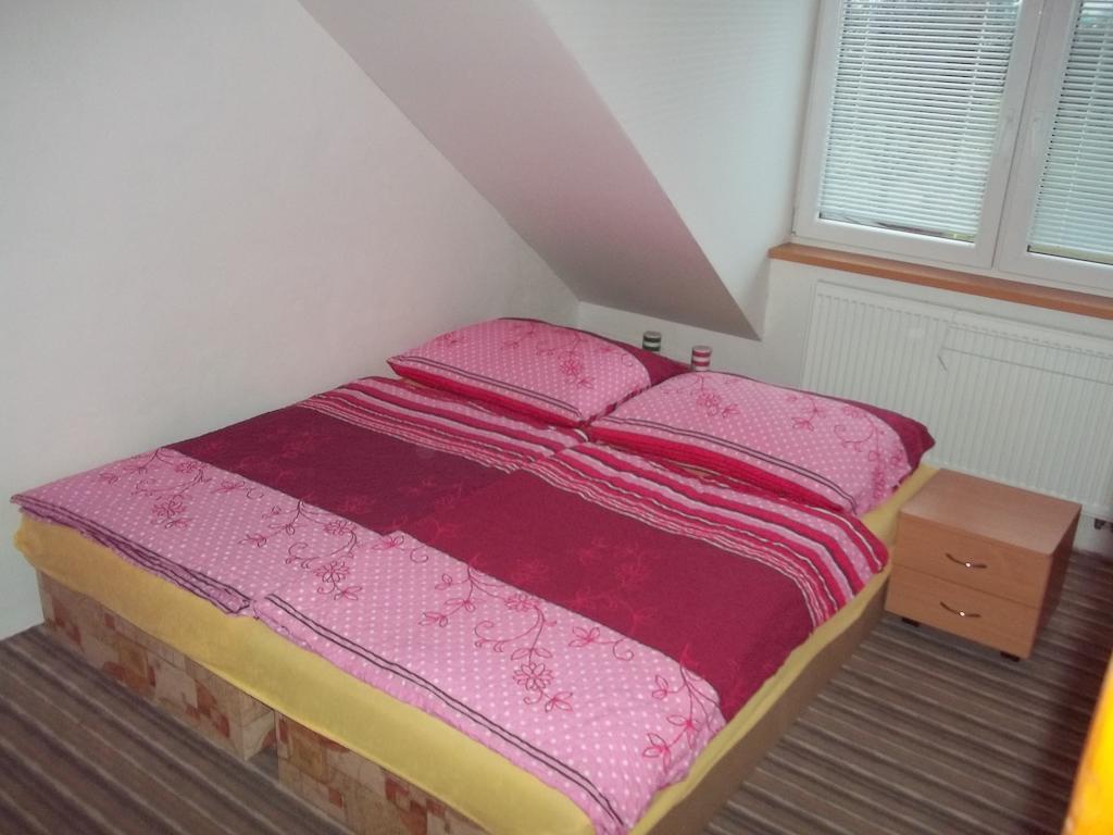 Penzion Apartmany Zlín Rum bild